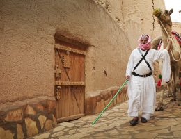 Prepare your visit to Saudi