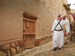 Prepare your visit to Saudi